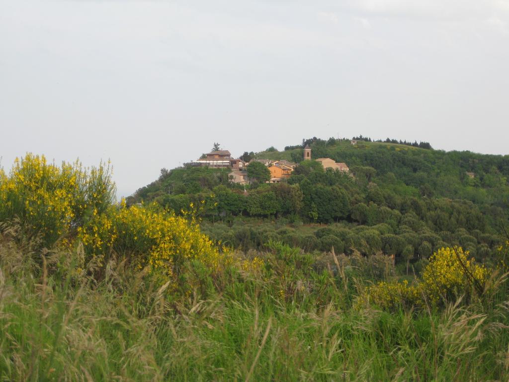 Da Lorella Hotel Gabicce Mare Kültér fotó