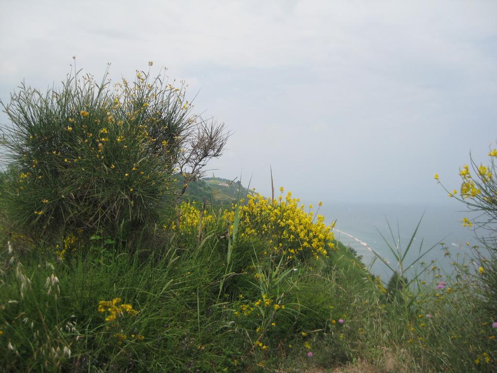 Da Lorella Hotel Gabicce Mare Kültér fotó